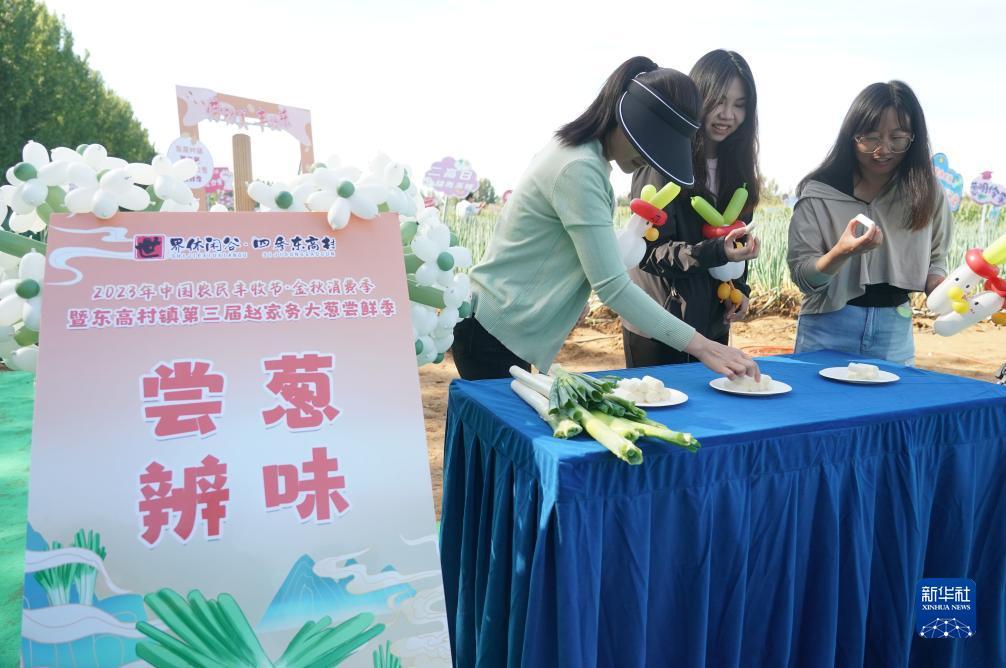 东方皇宫二手房